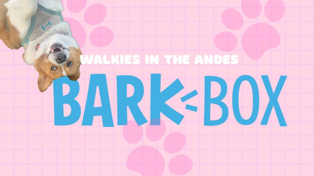 Bark Box Walkies In The Andes August 2024