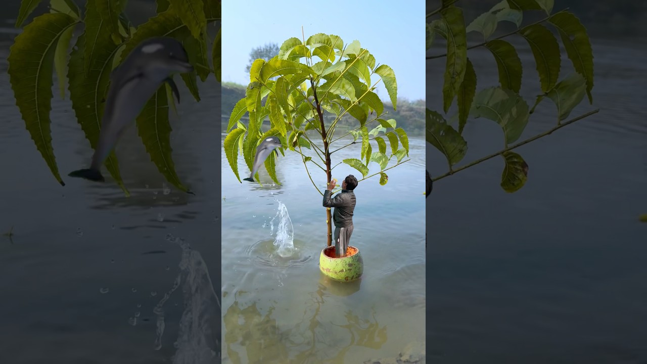 Crazy funny, amazing boat with tree gent fish#creative#funny#amazing#crazy#giant fish#shorts