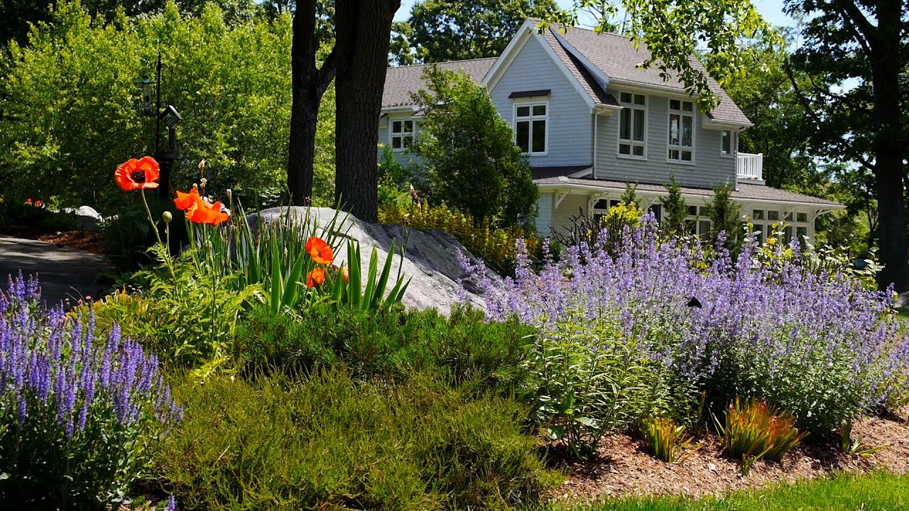 Coastal Landscape Project