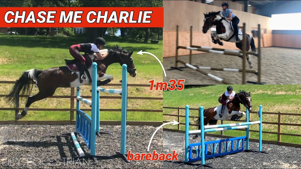 CHASE ME CHARLIE UP TO 1M35 & SHOWJUMP SCHOOLING (inc bareback jumping!)