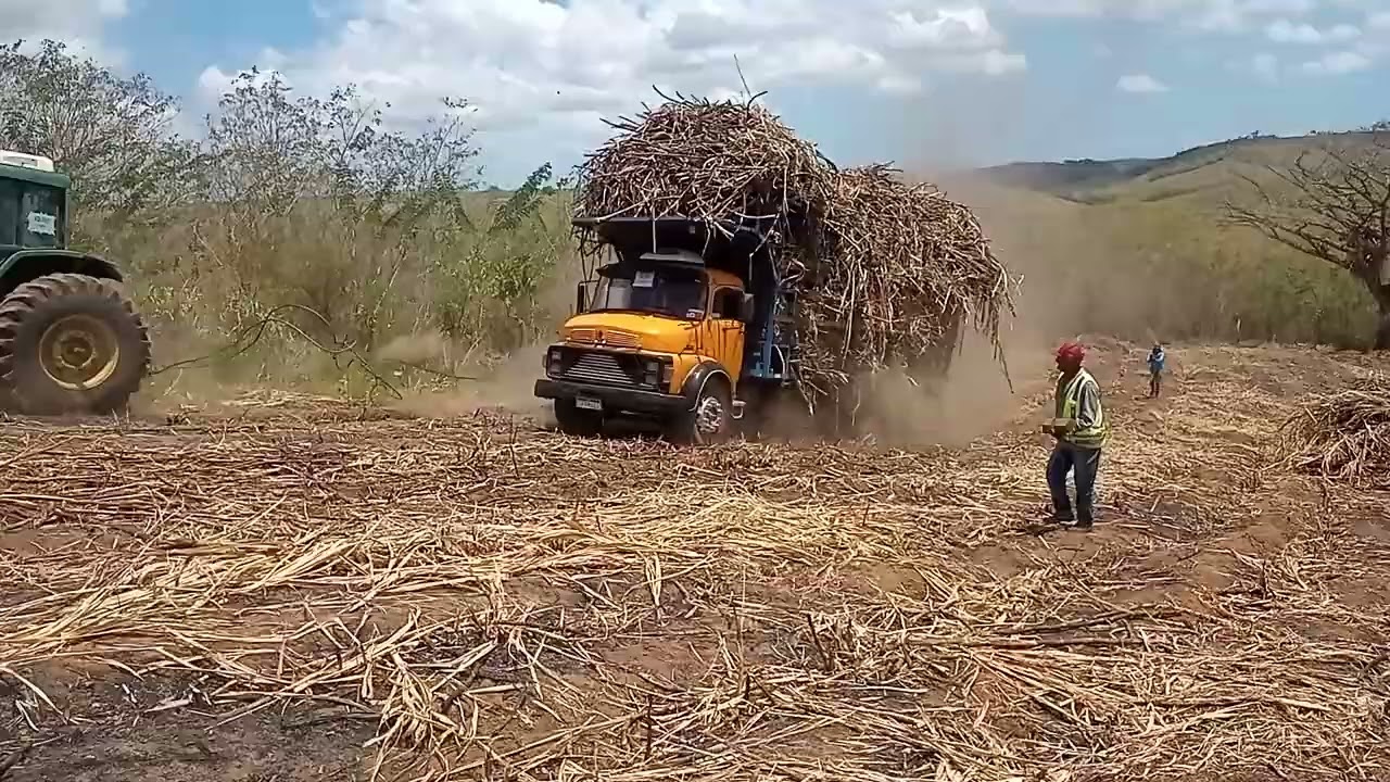 19 de novembro de 2023