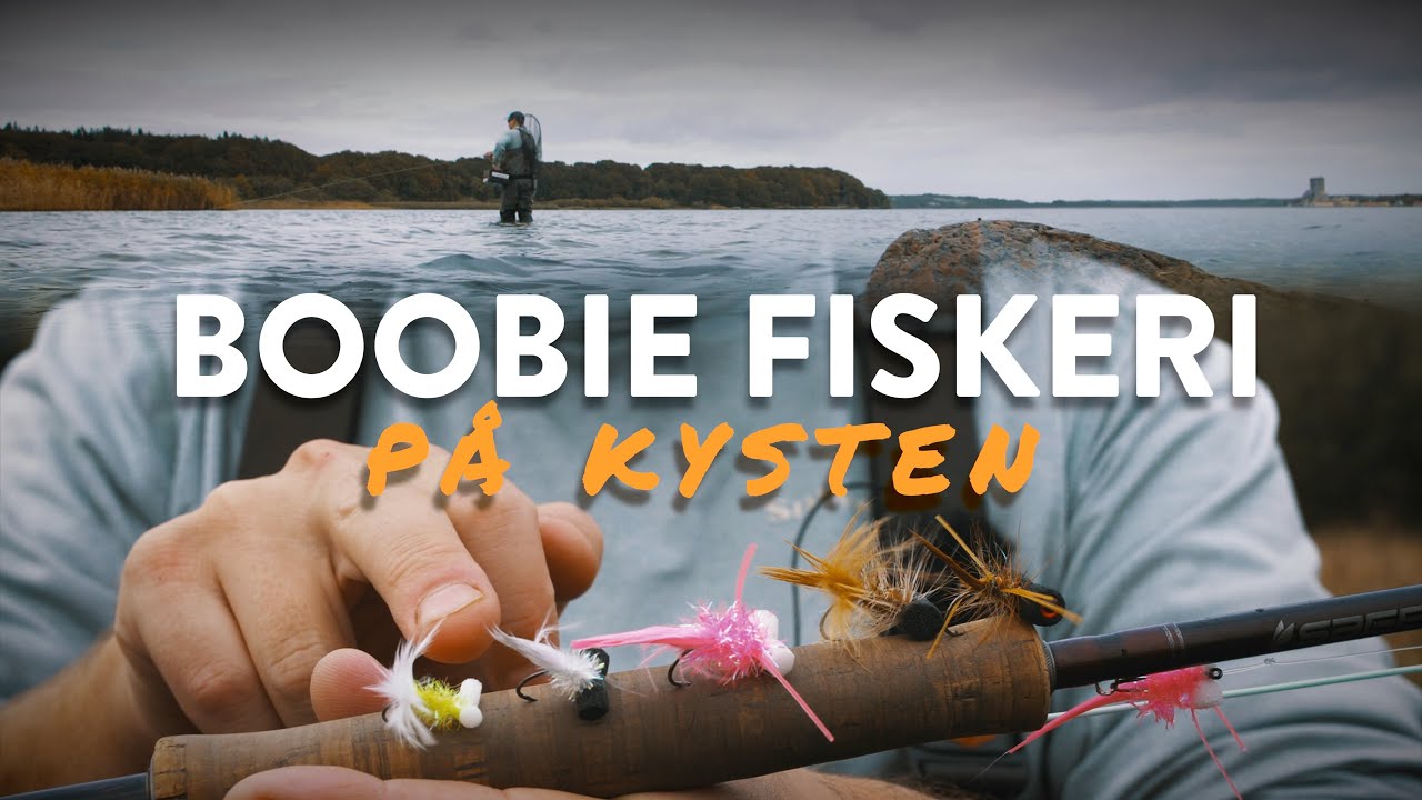 BOOBY FISKERI - 