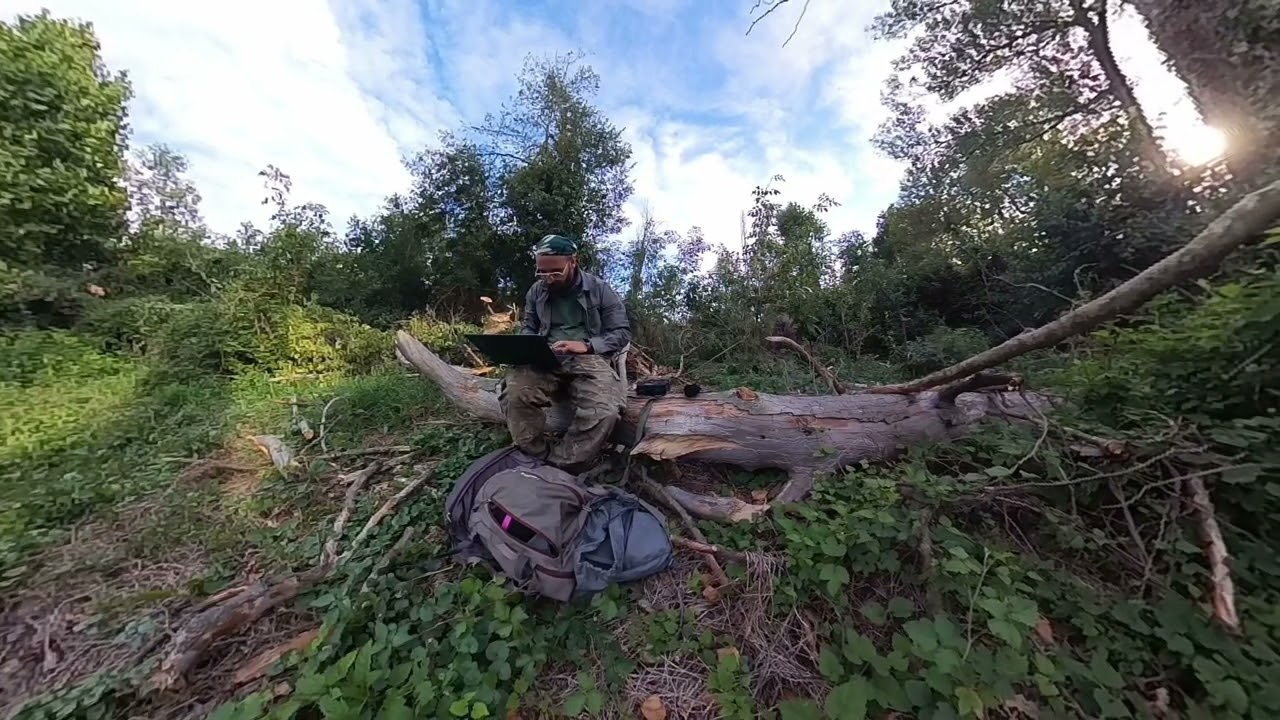 backstage #4 la pianta con la fototrappola è caduta #fototrappolaggio #nature #wildlife