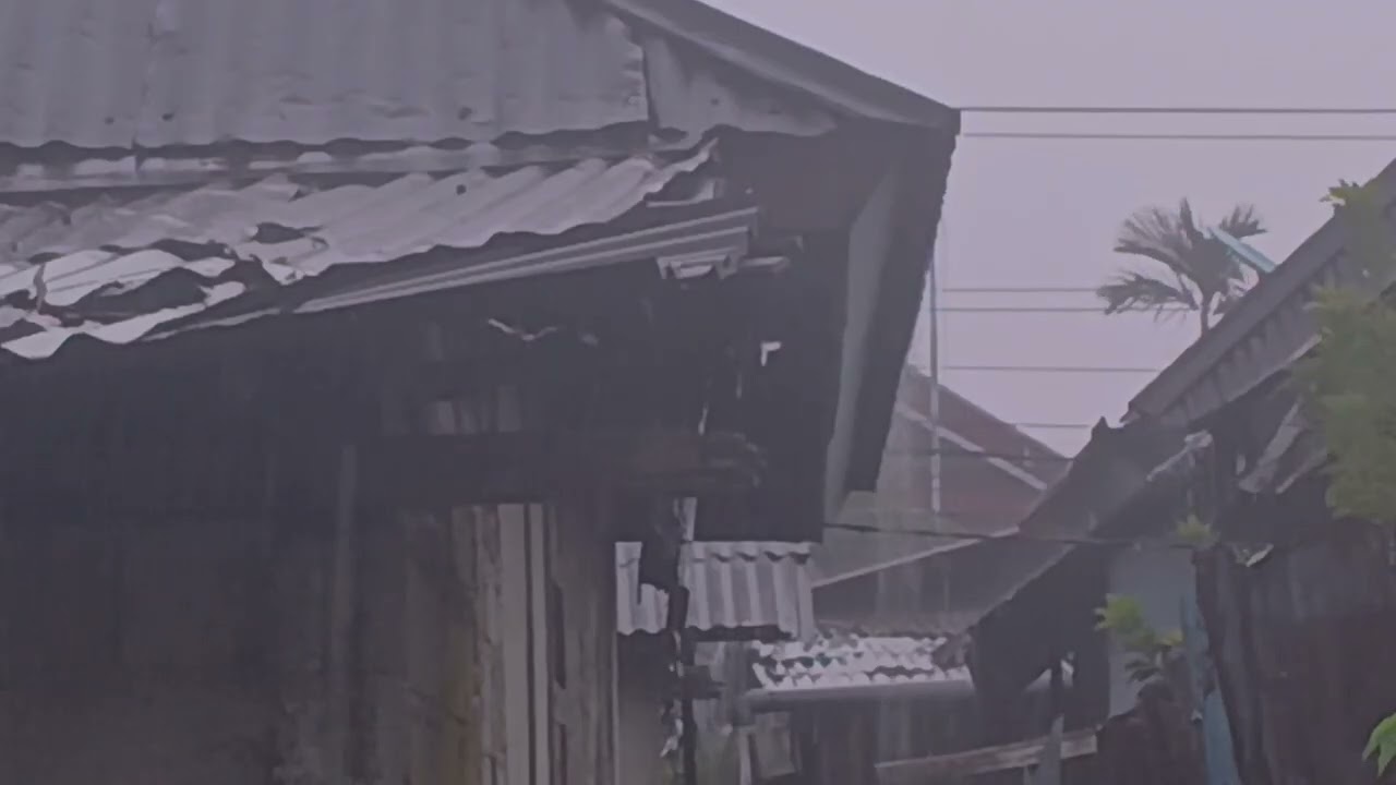 Rain Sounds on Tin Roof with Thunder | Focus & Deep Sleep