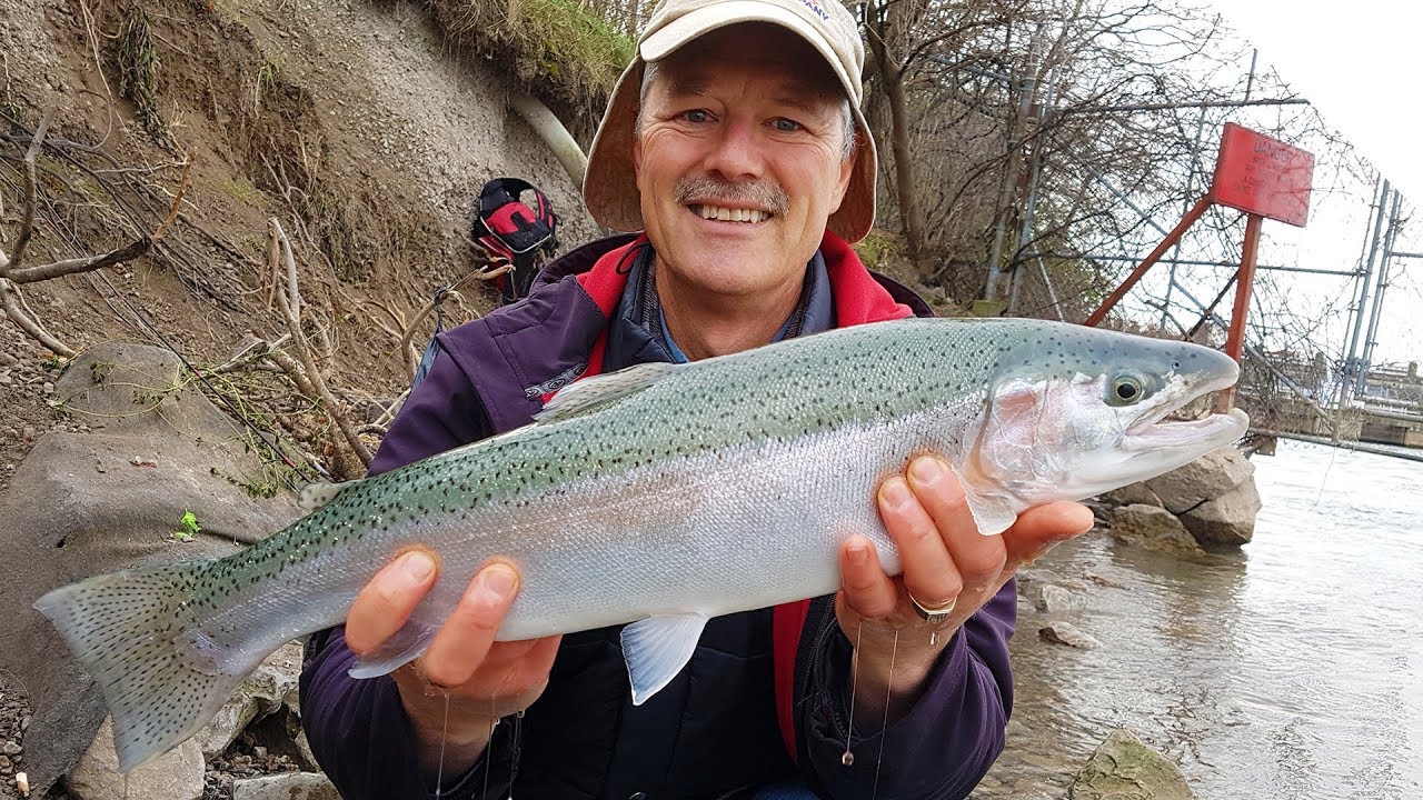 Bottom Bouncing for Steelhead (Chrome) - Boatless Angler