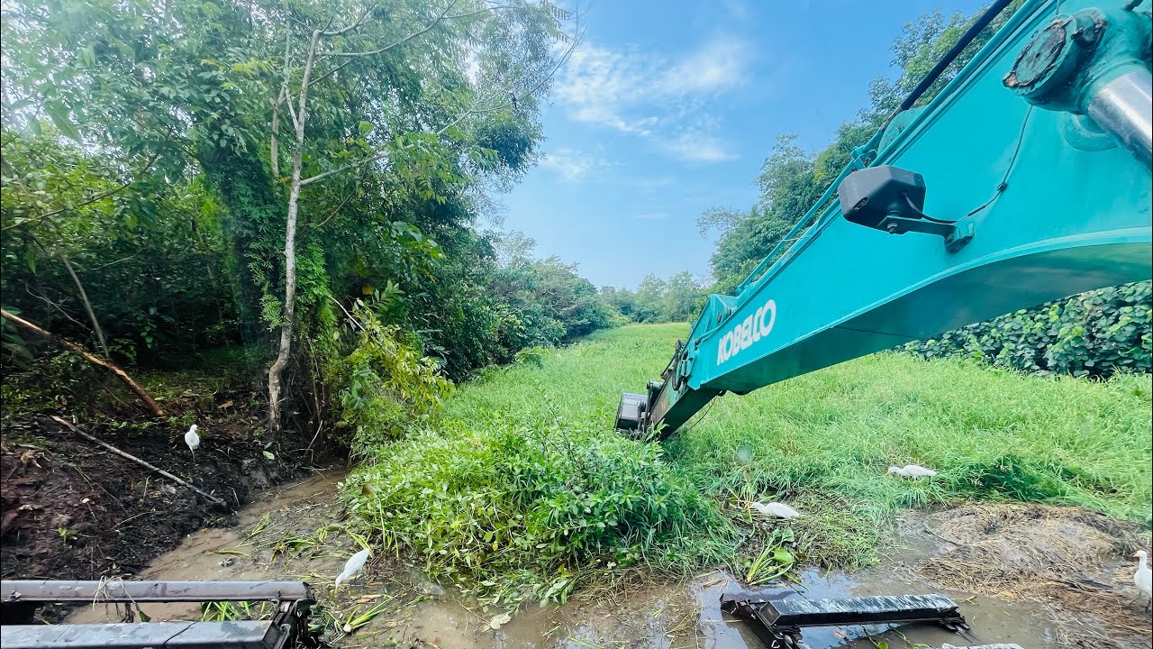 Clearing River Weeds with the Amphibious Excavator | Heavy Machine at Work 💪💪💪