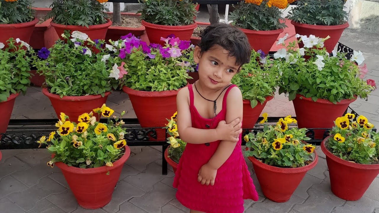 आज हम पहुंच गये पंचकुला (बसंतर )🥰