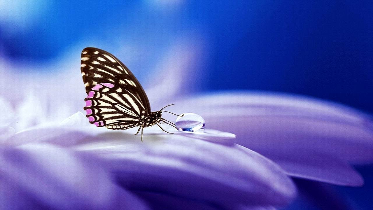IMPRESSION OF A PAST DAY - pianistic poem
