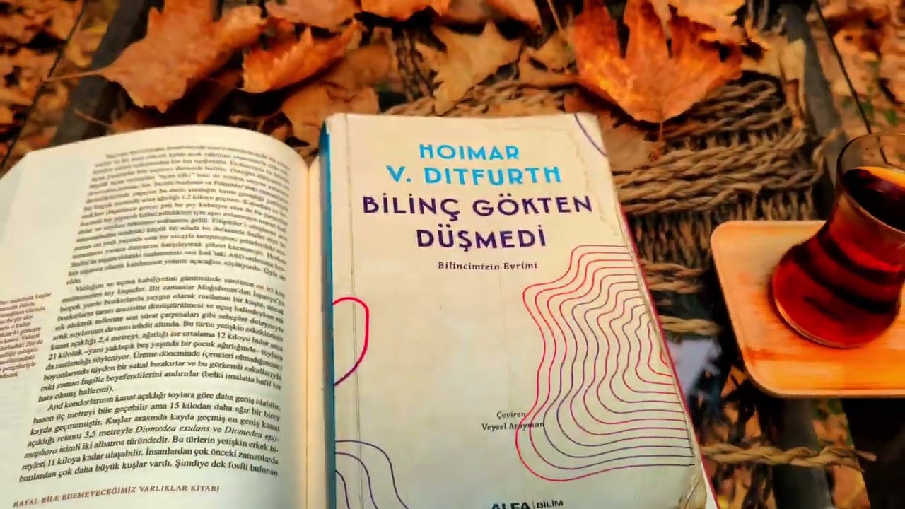 Kitap okumayı yanlış anlamış olabilir misiniz?