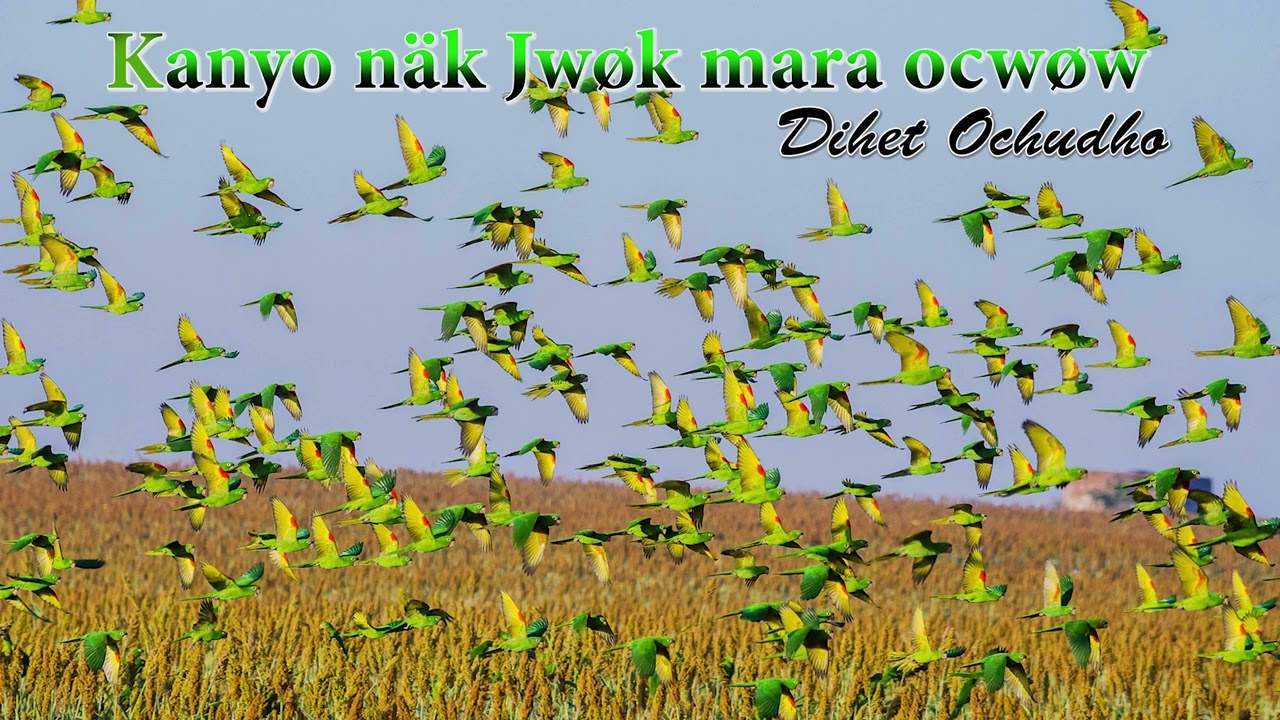 Kanyo näk Jwøk mara ocwøw