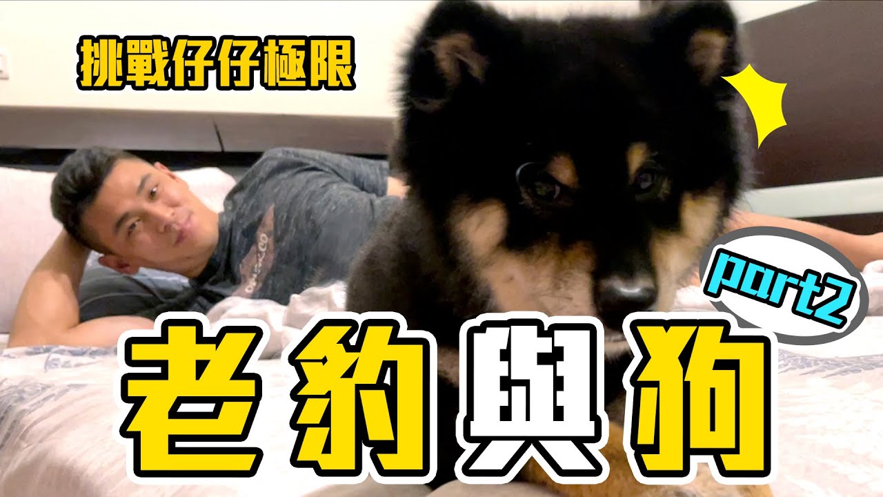 【 昶詠😎VLOG 】柴犬仔仔半夜大爆走！主人變成狗陪牠瘋？！ 老婆靜靜的看這荒謬的行為...【豹子腿方昶詠】