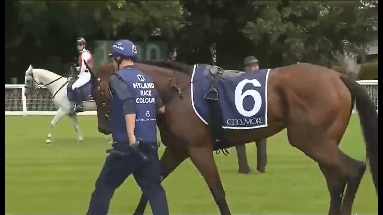 RACE NO -03 - RANDWICK - AUSTRALIA 14 FEB 2026