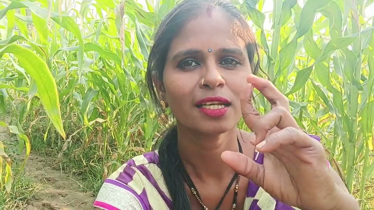 देखो दोस्तों आज मैं मकई खेत में आकर क्या कर रही हूं बड़ा मजा आएगा देखने में❤️🥰