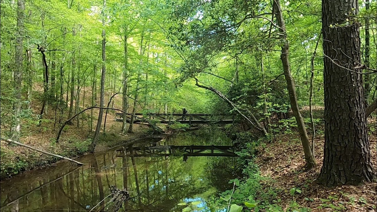 2024 Three Rivers Land Trust Uwharrie Trail Thru Hike Day 2