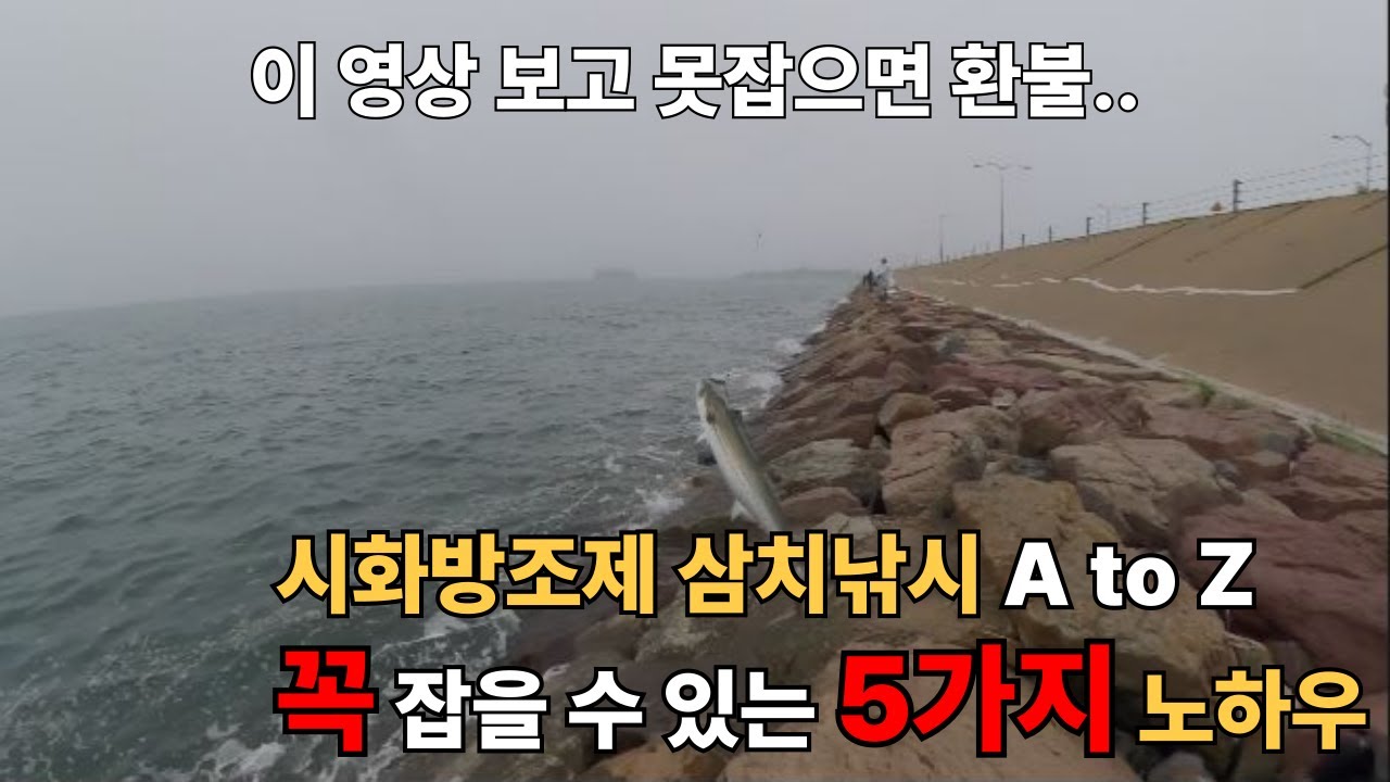 시화방조제 삼치낚시 꼭 잡을 수 있는 5가지 노하우 / 장비,채비,물때,시간,액션 (2025. 6. 26 조행기)
