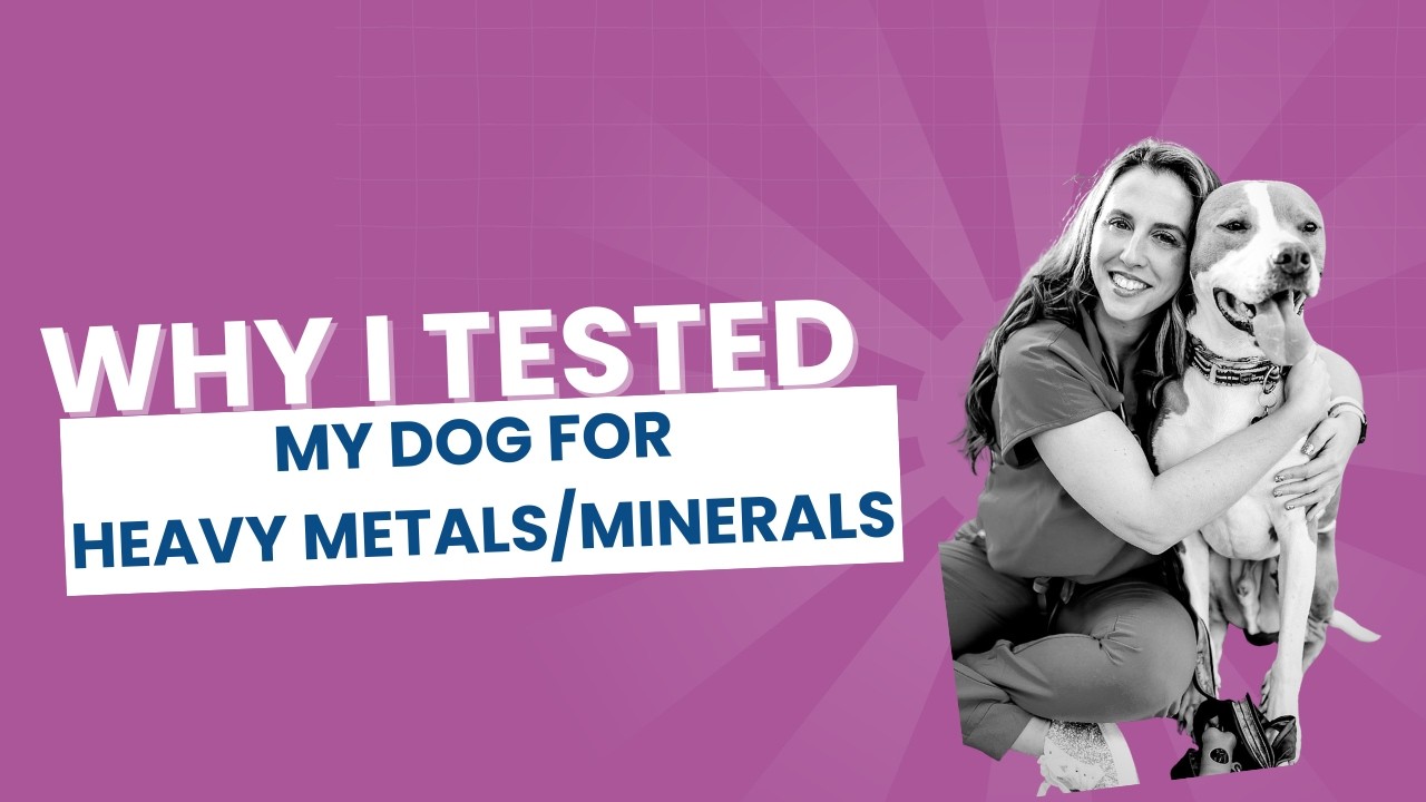 Why I Tested My Dog for Heavy Metals/Minerals