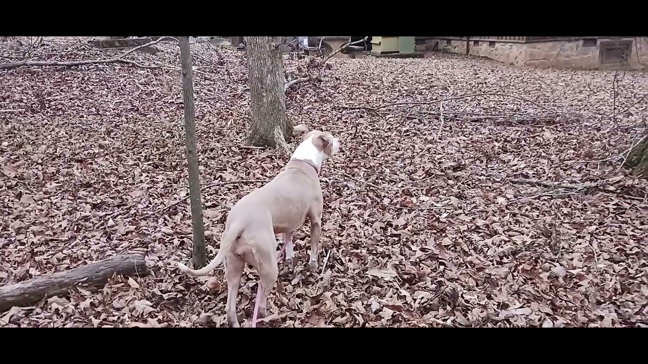 Florence Alabama Wildwood Park location