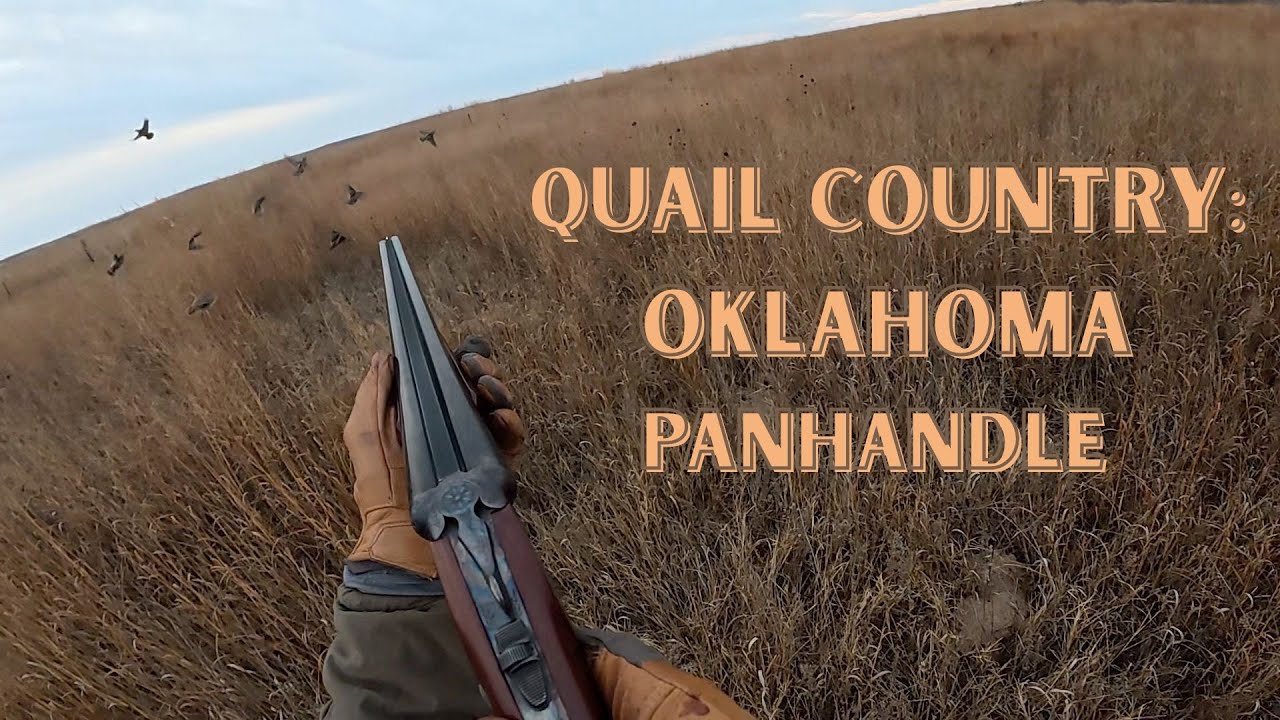 Oklahoma Panhandle Quail Country!