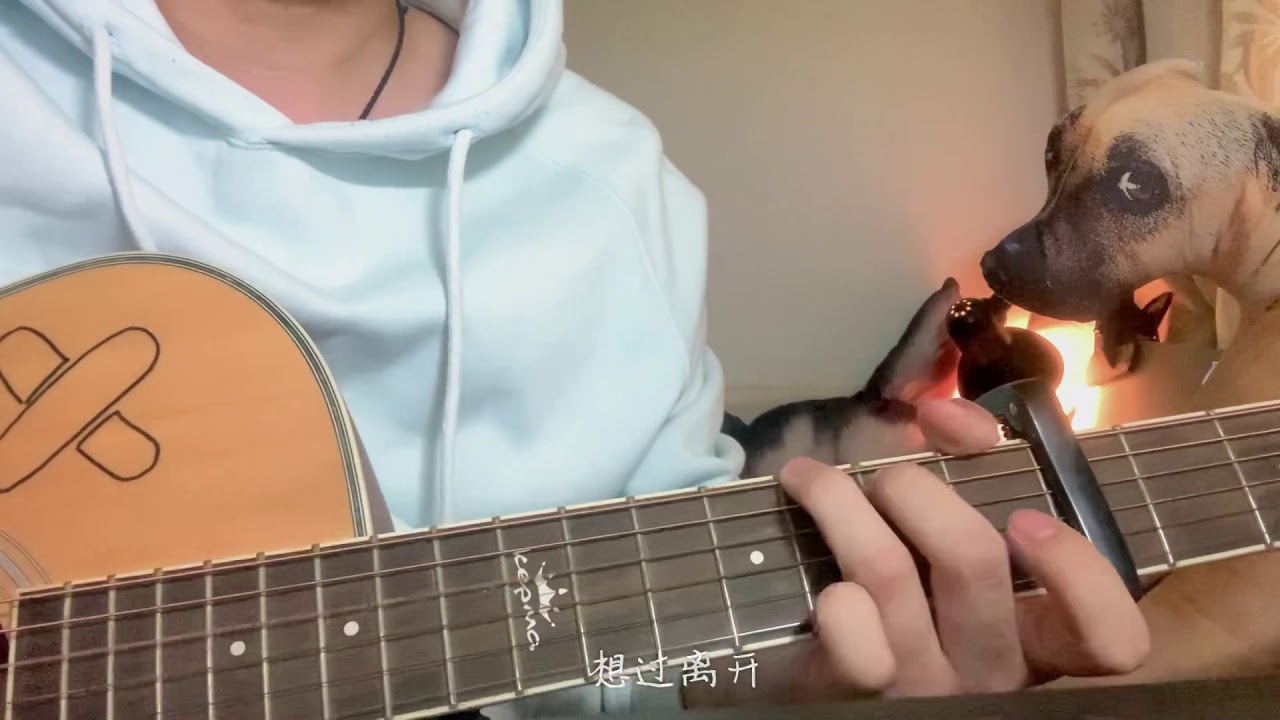 好想爱这个世界啊 (Cover 华晨宇)
