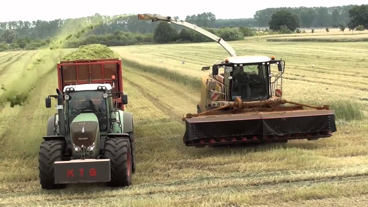 Grünroggenernte in Oranienburg GPS Häckseln