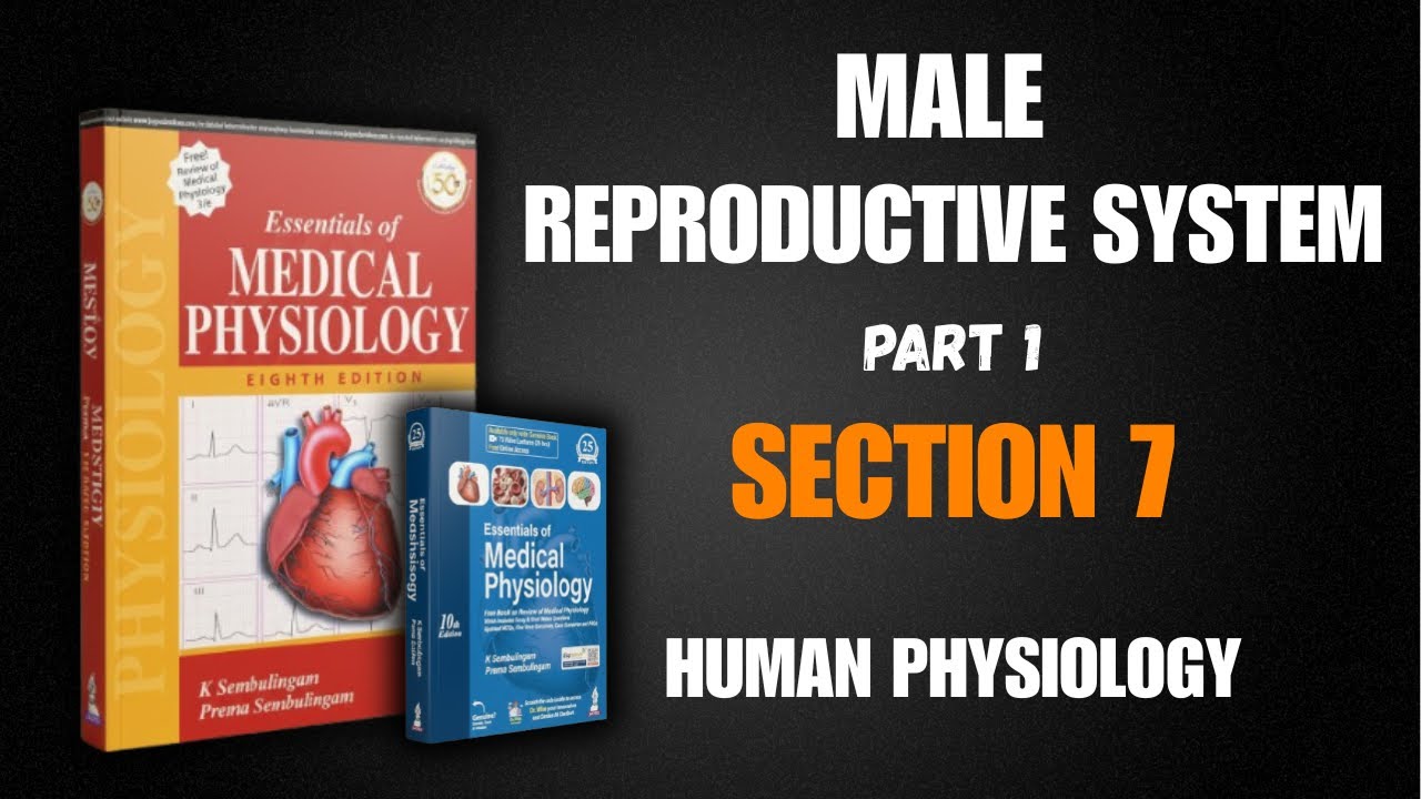 (CHAPTER -71) MALE REPRODUCTIVE SYSTEM || SEMBULINGAM BOOK IN EASY AND SIMPLE HINDI EXPLANATION