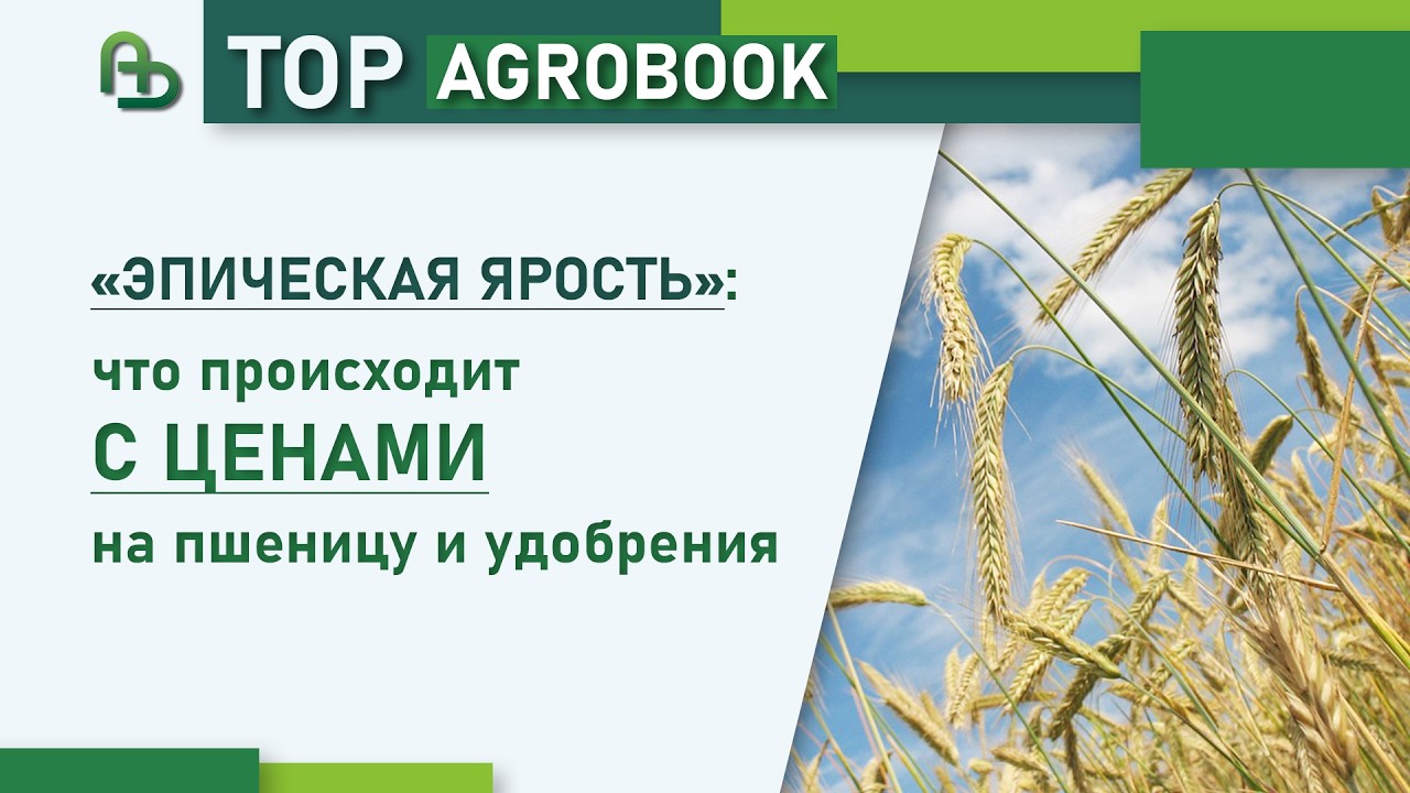 «Эпическая ярость»: что происходит с ценами на пшеницу и удобрения | TOP Agrobook обзор агроновостей