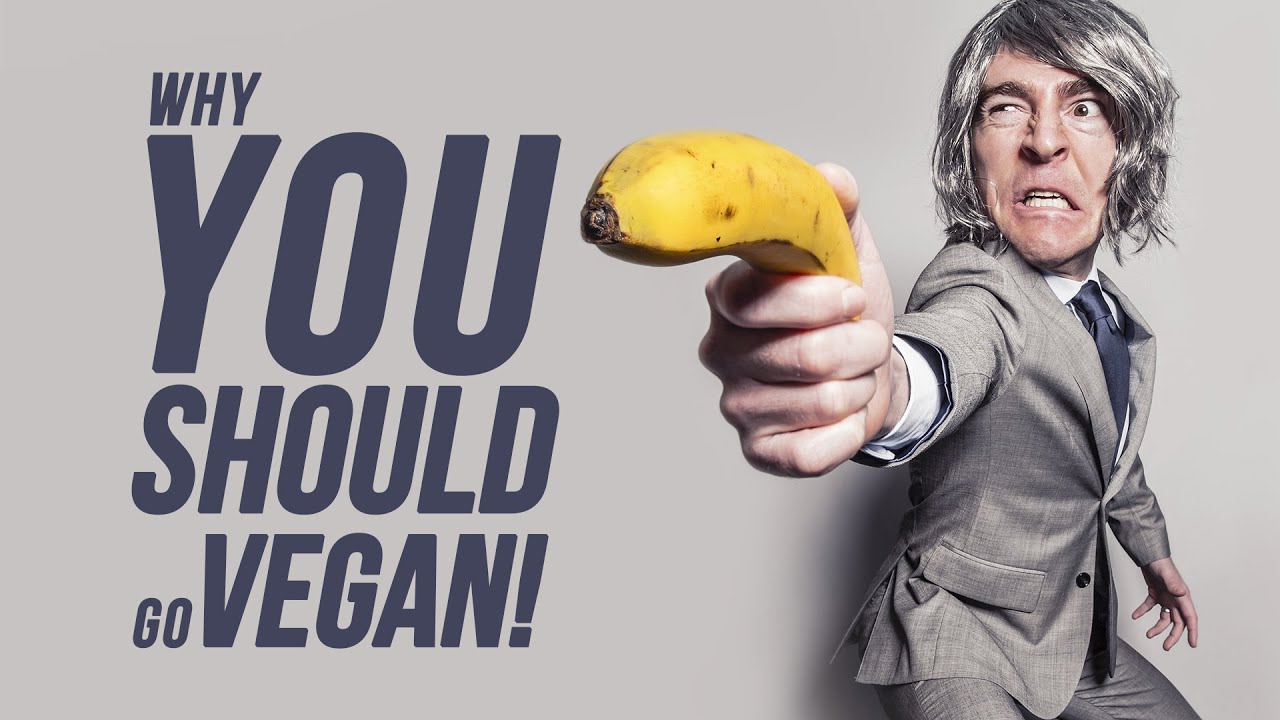 Why YOU Should Go Vegan!
