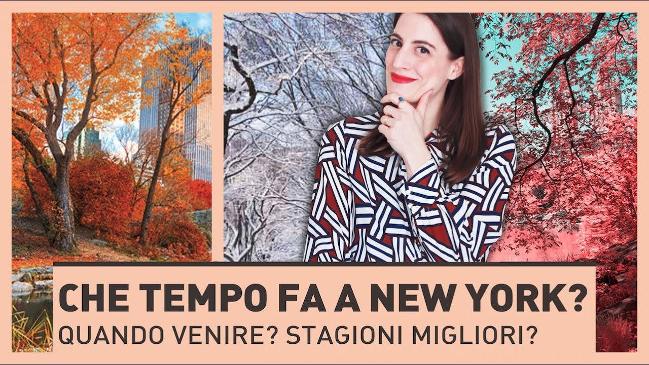CHE TEMPO FA A NEW YORK? Quando venire? Stagioni migliori?