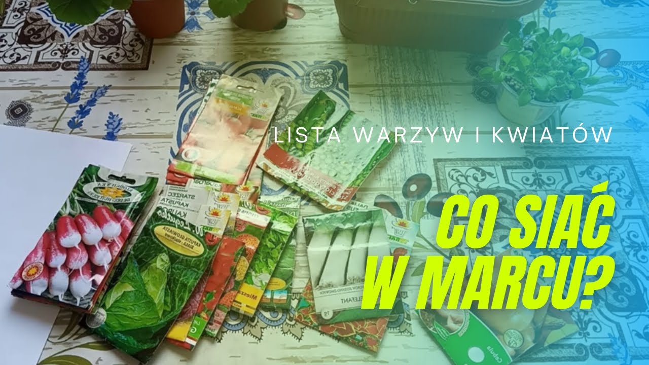 Co siać w marcu do gruntu i na rozsady? Siew w marcu. Wysiewy w marcu. Porady ogrodnicze