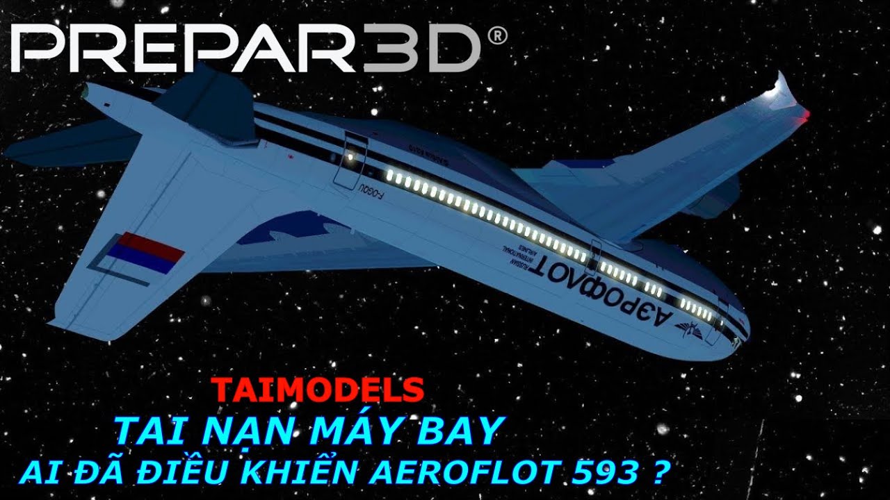 CHUYẾN BAY 593 CỦA AEROFLOT | AIRBUS A310 | TAIMODELS