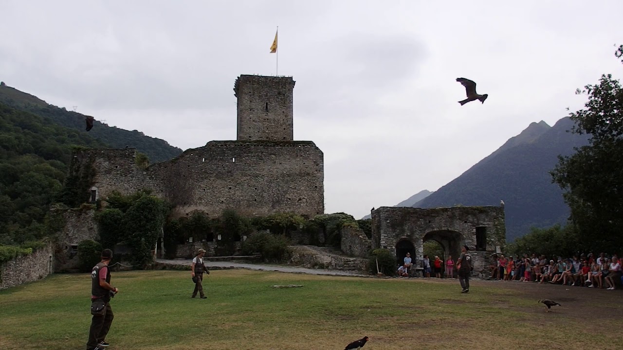Les rapaces en vol - Donjon des Aigles, Beaucens