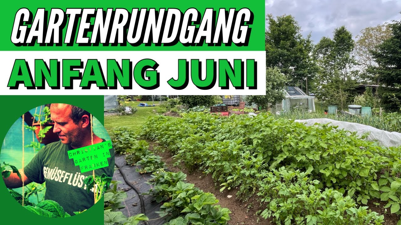 Gartenrundgang Anfang Juni & Melonen im Kübel