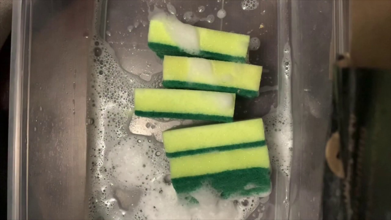 Sponge ASMR Soapy ripping sponges