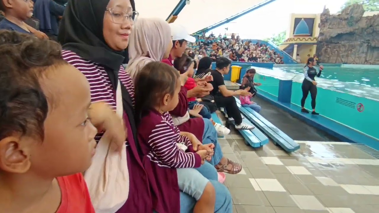 Atraksi Lumba-lumba Samudra Ancol 01-02-2026