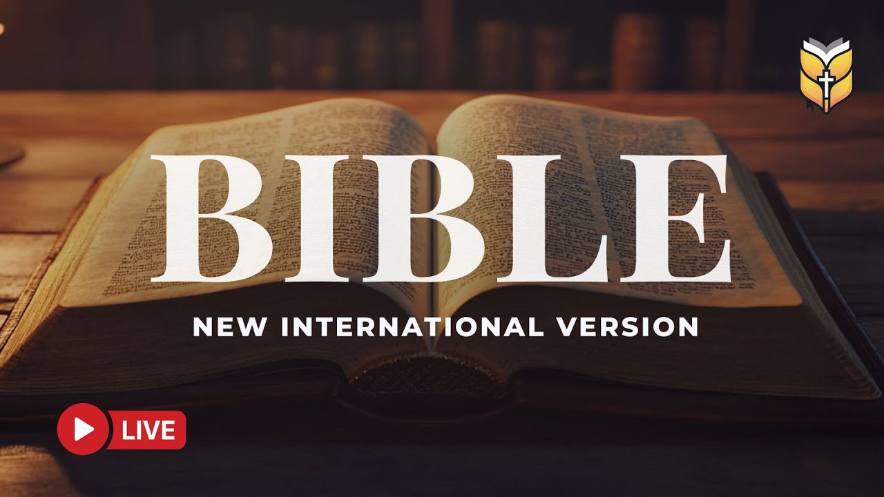 NIV Holy Bible Reading – Strengthen Your Heart with God’s Word 🔴 BibleVision LIVE