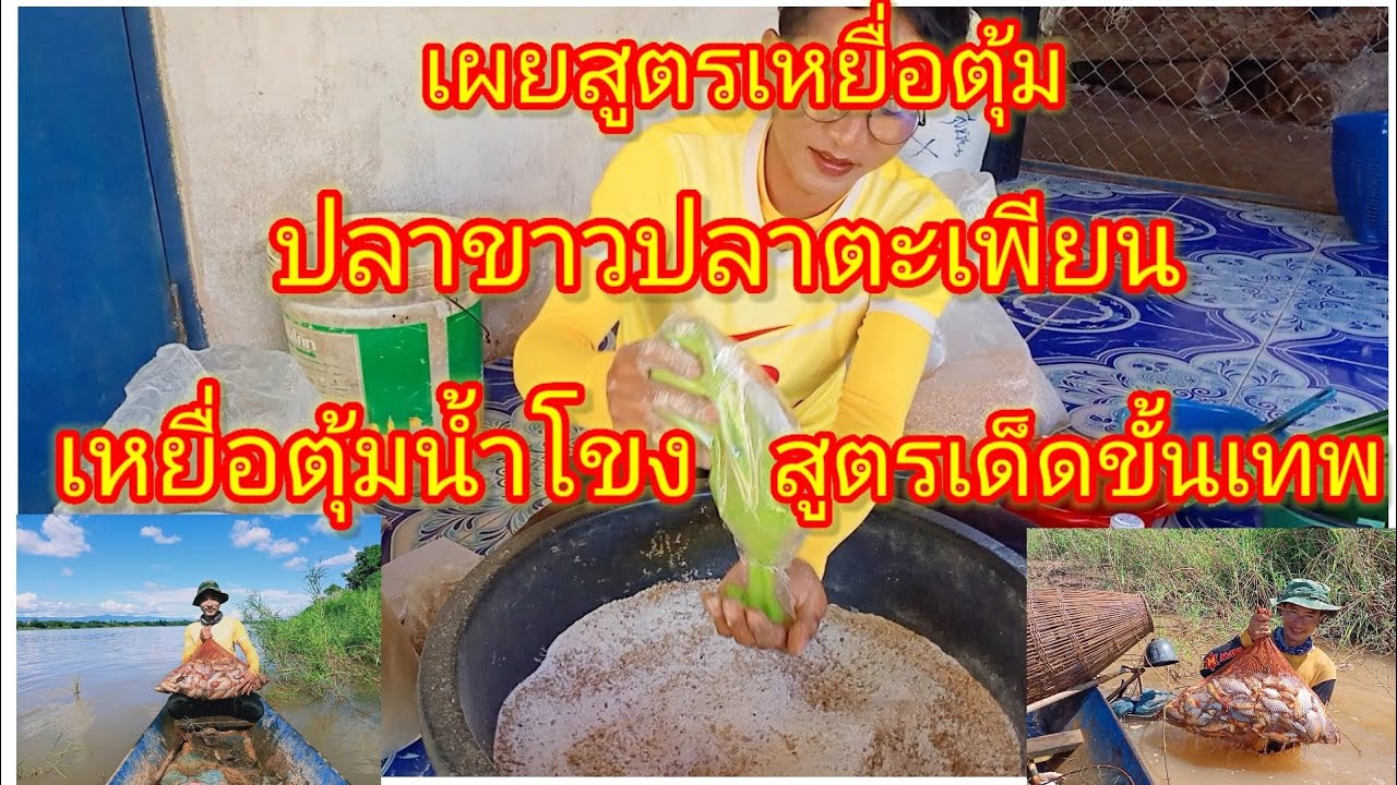 เหยื่อตุ้มปลาขาว ปลาตะเพียน  สูตรเด็ดที่ไม่เคยมีใครเปิดเผยมาก่อน สูตร 2#เหยื่อตุ้มน้ำโขง