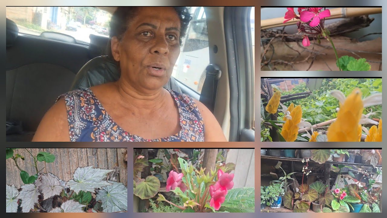 Levei meu carro 🚗 para o mecânico e visitei a floricultura de dona Nazaré 