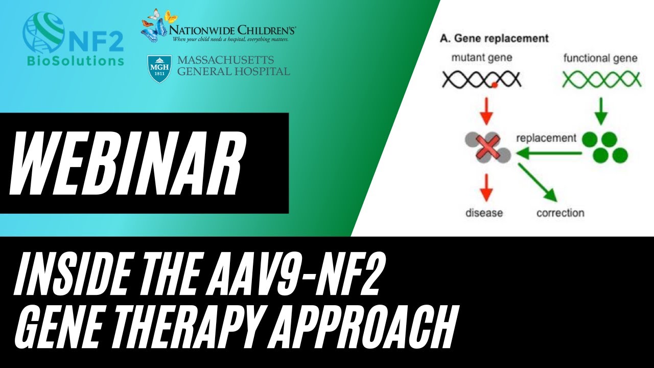 Inside the AAV9-NF2 Gene Therapy Approach