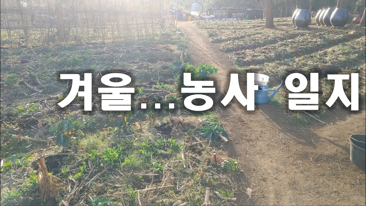 [동영상- 345] (느림농업- 18) 겨울 - 농사 작업 일지