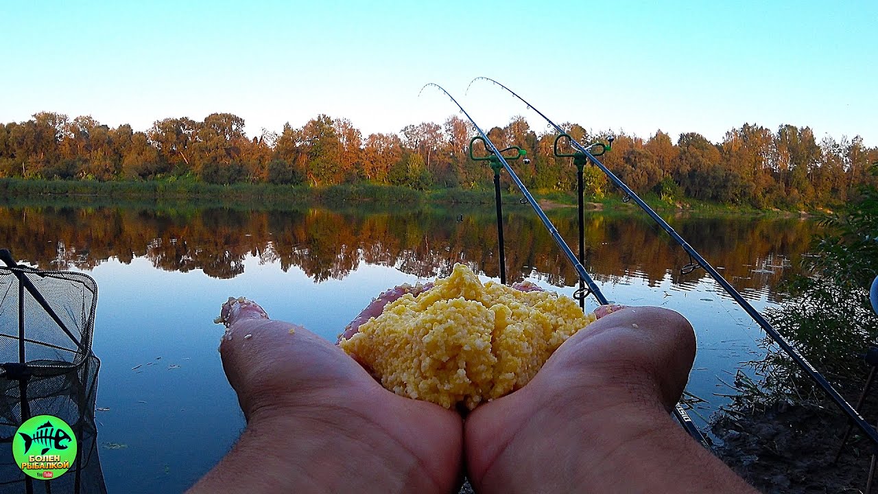 ТОЛЬКО ЭТИМ И КОРМЛЮ ТЕПЕРЬ. РЫБА ДУРЕЕТ. Рыбалка с ночевкой на фидер.