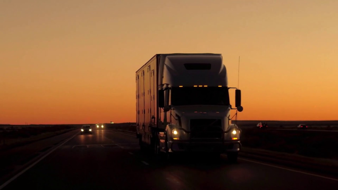 AMIGOS FREI WIE DER WIND