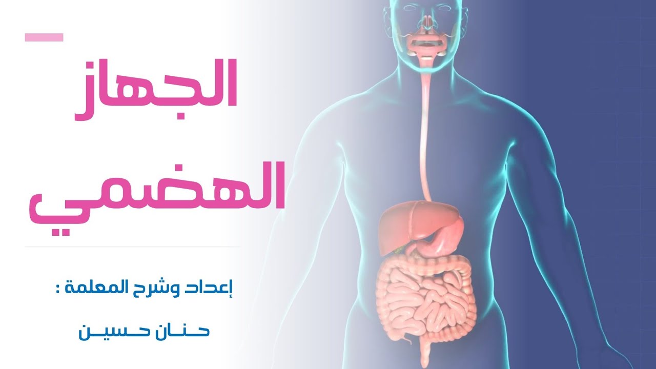 الصف الخامس : الجهاز الهضمي