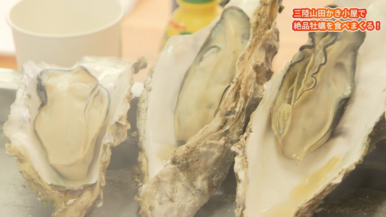 山田町で初ロケ！絶品牡蠣を食べ尽くす！