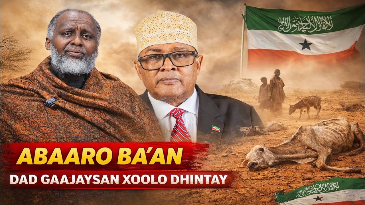 Daawo;-War Lama Filaan Ku Noqday MD Cirro Oo Caawa Ka Soo Yeeray Siyaasi Caan ah Iyo Halista