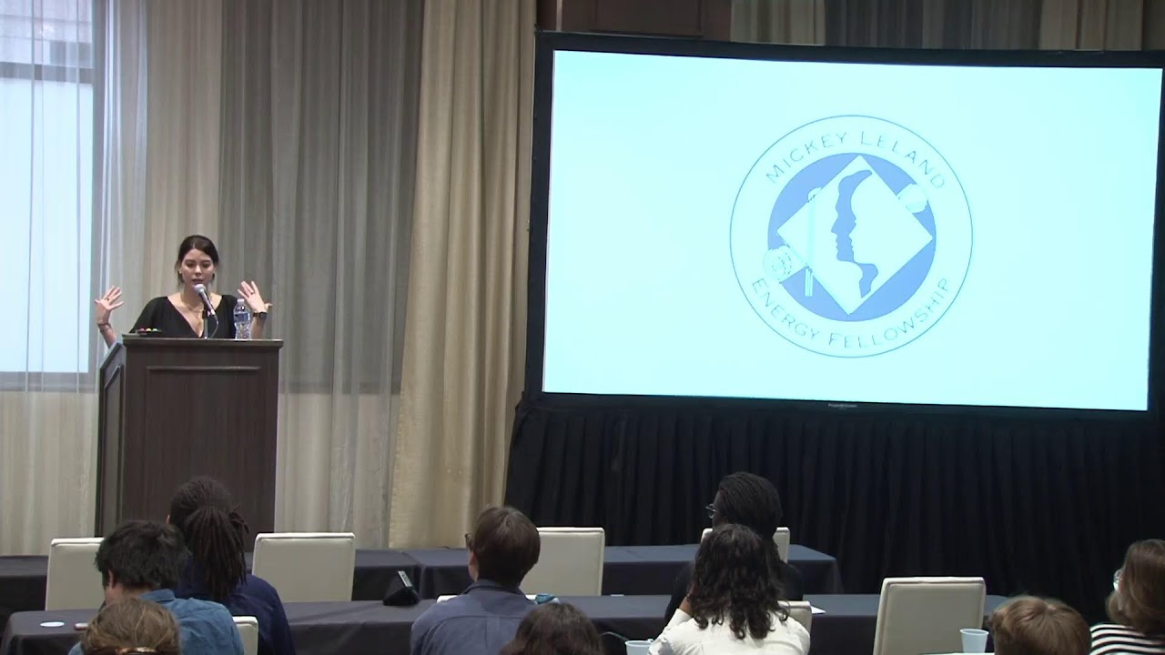 Mickey Leland Energy Fellowship