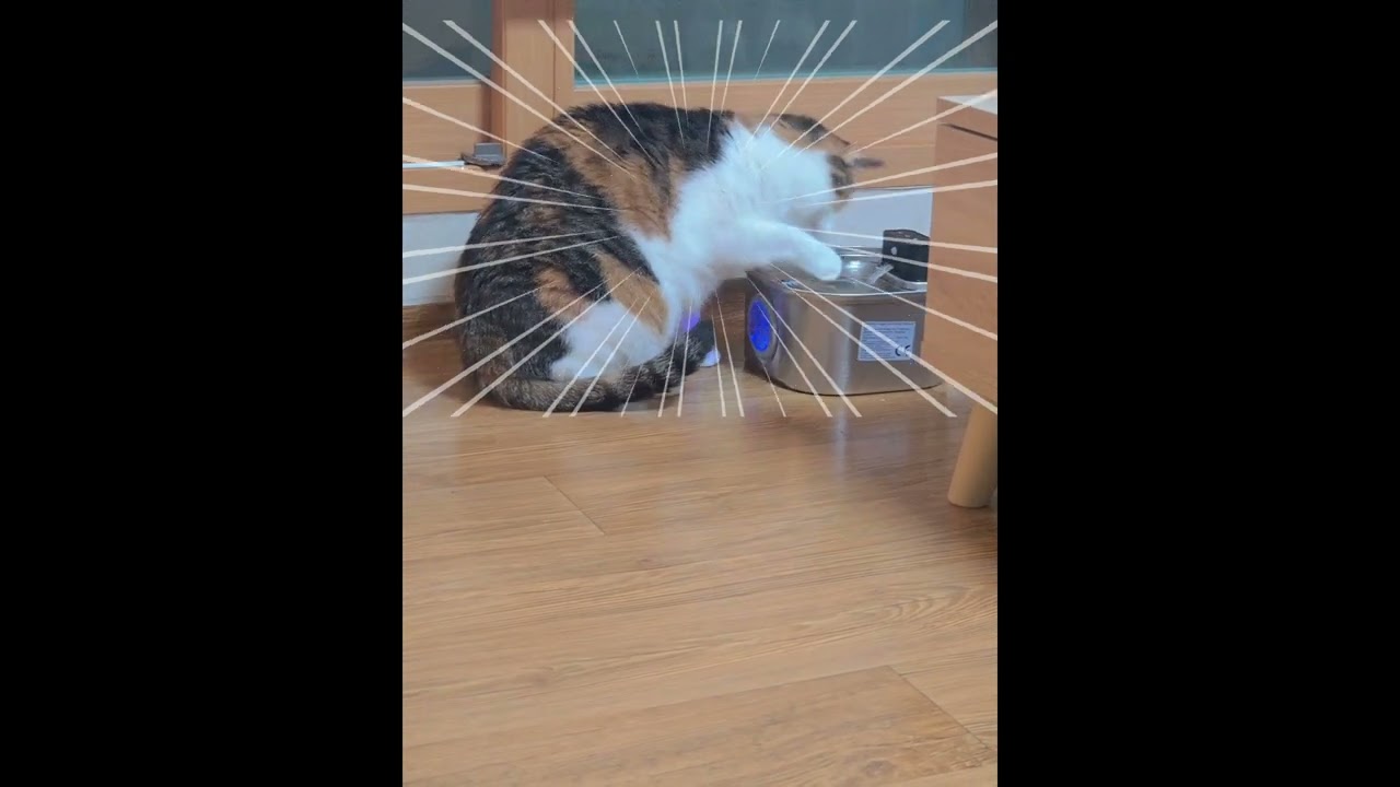 물이 신기한 밤탱이