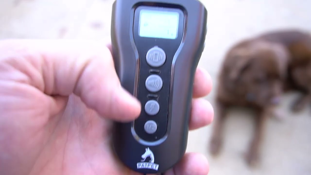 PATPET Shock Collar for Large Dog - Rechargeable Dog Training Collar with Remote 1000Ft Range
