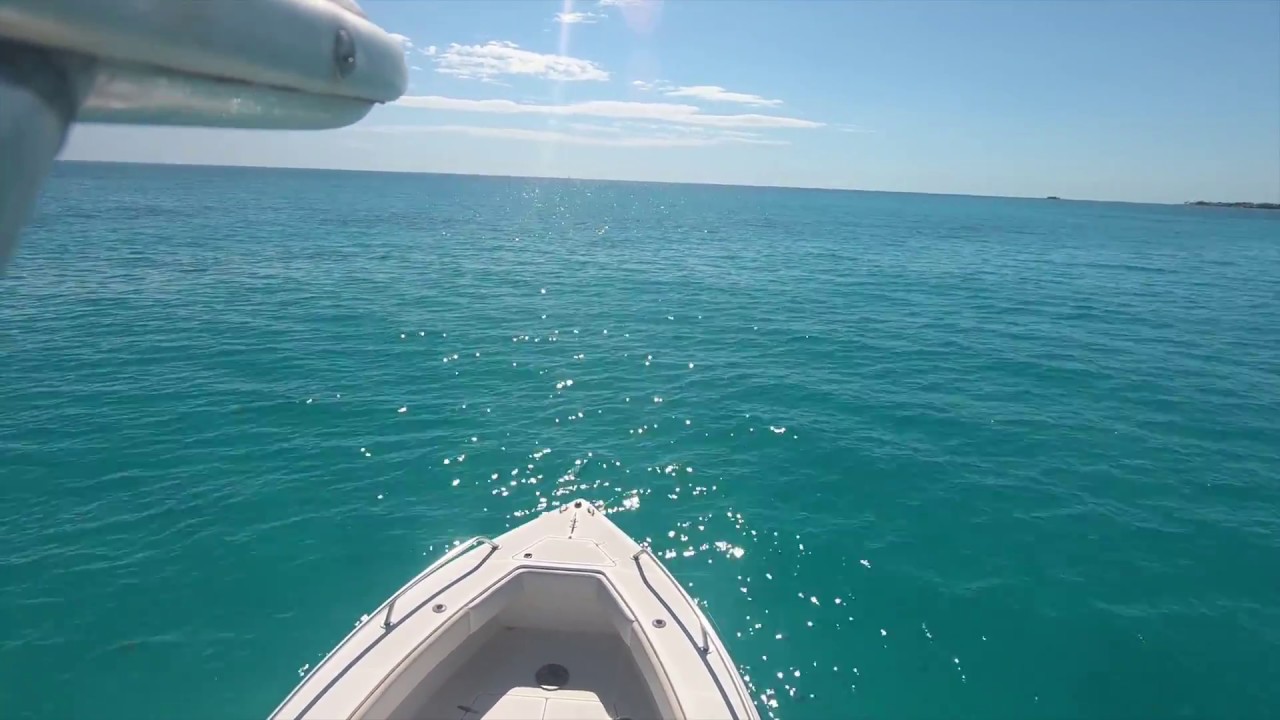 How to Install a Seachoice Platform Ladder on a Boat Transom