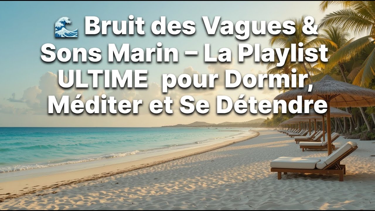 Méditation Océan – Les Meilleurs Sons Marins pour Se Détendre Sans Limite