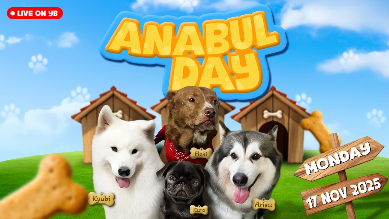ANABUL DAY WITH ARISU, KYUBI, KURO, AND FLOKI #BukanMARAPTHON